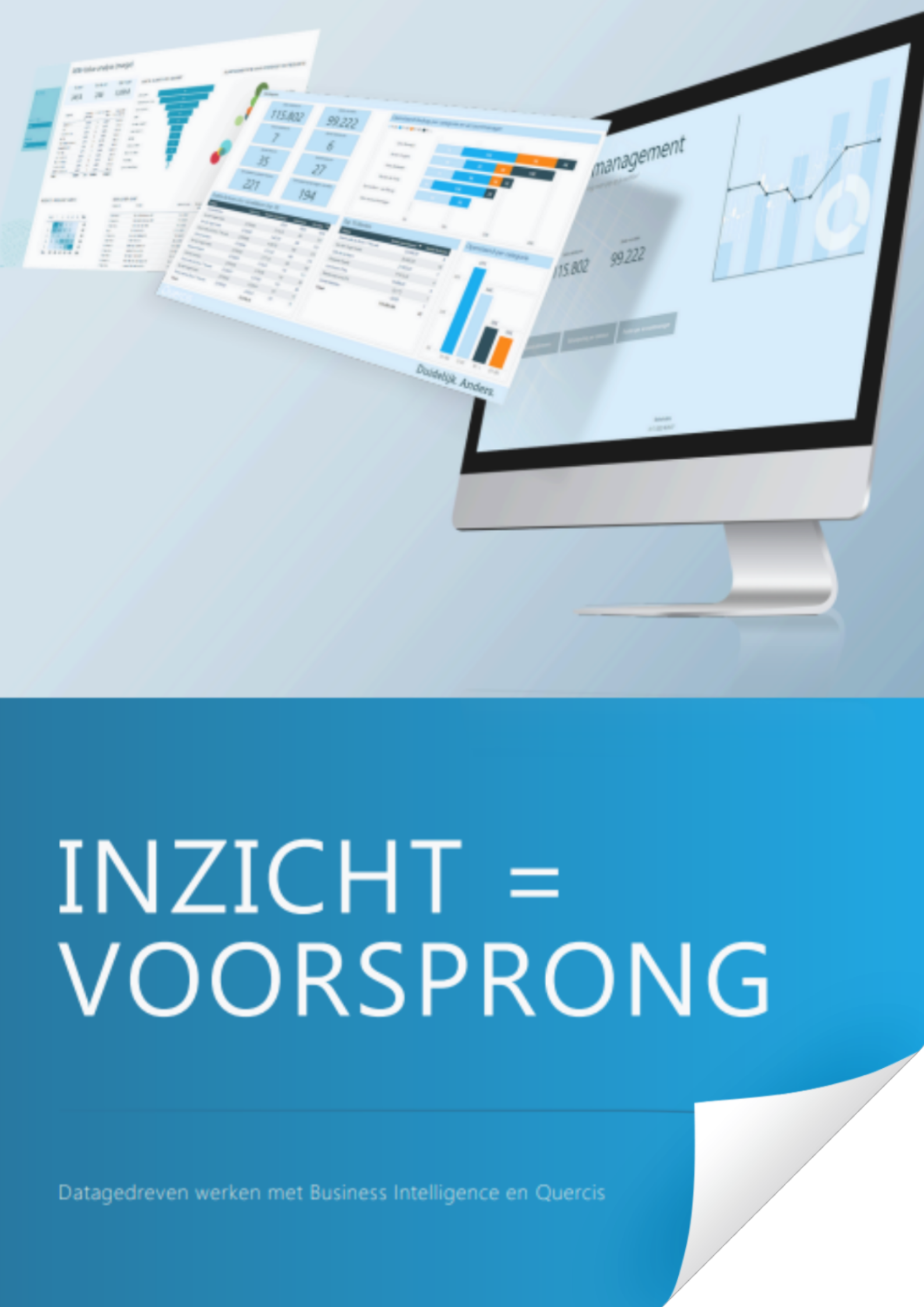 whitepaper power bi